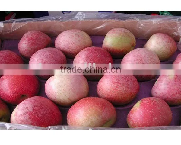 China Big Qinguan Apple