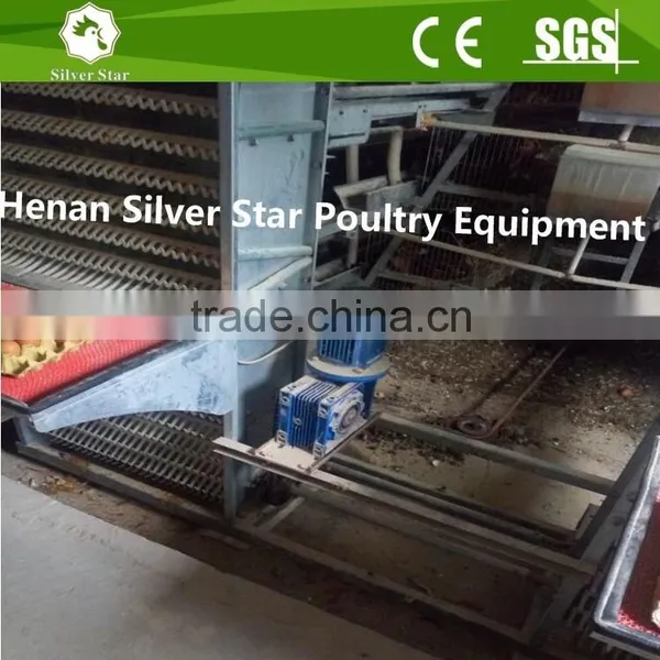 Automatic Chicken Egg Collecting Machine for Farm photo-6