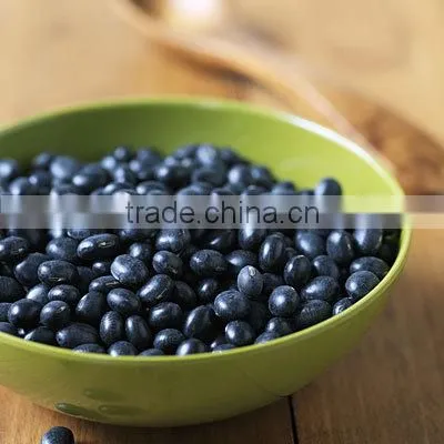 Supply Black Beans With Best Price and Good Quality for Sale photo-4