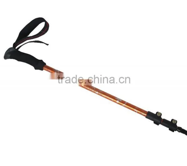 3 Section Hiking Pole