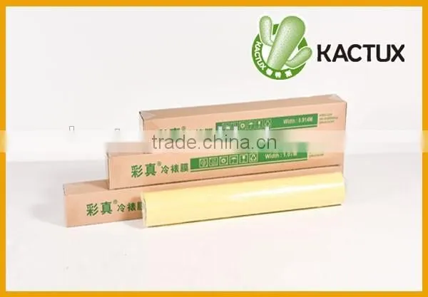 Self Adhesive Cold Lamination Film photo-5