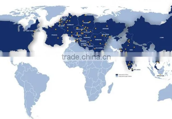 Sea Freight to Mumbai MOMBASA Kenya From Guangzhou Ningbo Shanghai Shenzhen photo-2