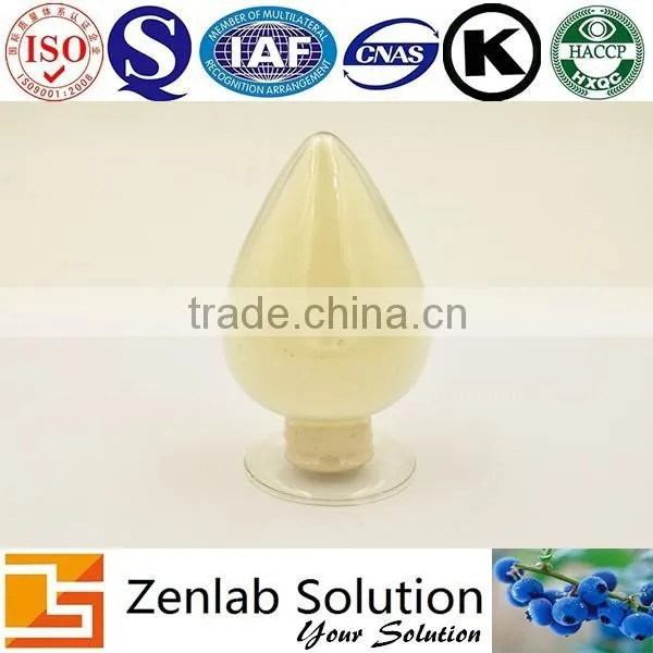 Freeze Dried Apple Juice Powder photo-6