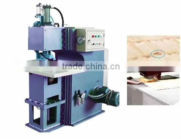 Veneer Patcher