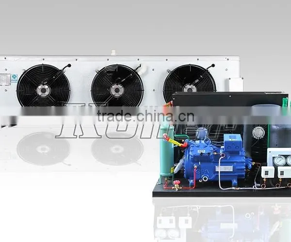 2016 Hot Sale 60CBM Cold Freezer Storage Room VCR60 With Compressor From China Supplier Koller photo-2