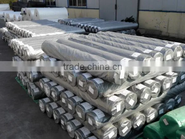 pe Tarpaulin Roll Packing for Cargo Cover