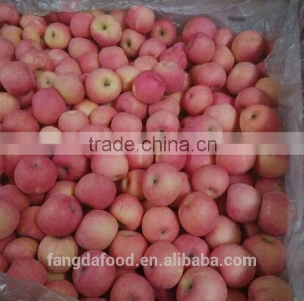 Fresh China New Crop of Fuji Apples/cold Room Goods photo-3