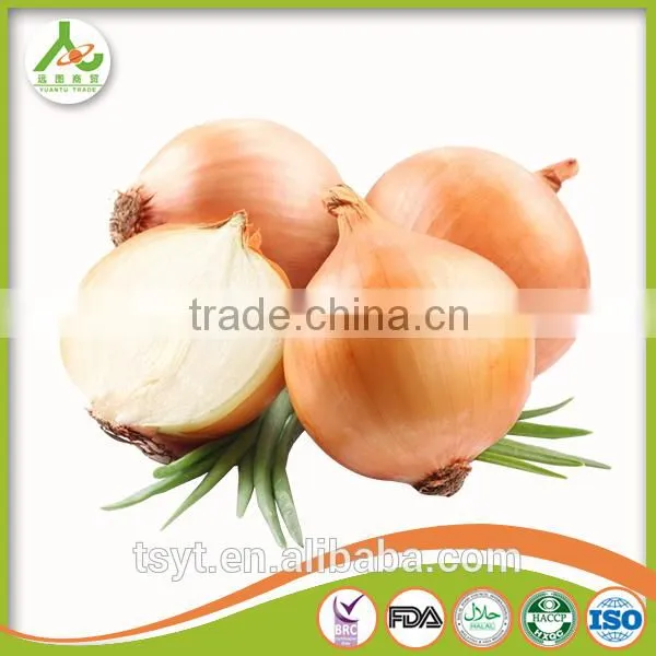 Fresh Yellow Small Onion in China photo-5