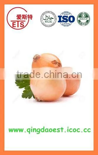 Export China Fresh Organic New Crop Red and Yellow Onion photo-6