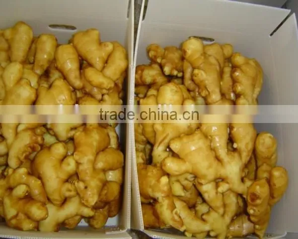 Organic Fresh Ginger photo-6