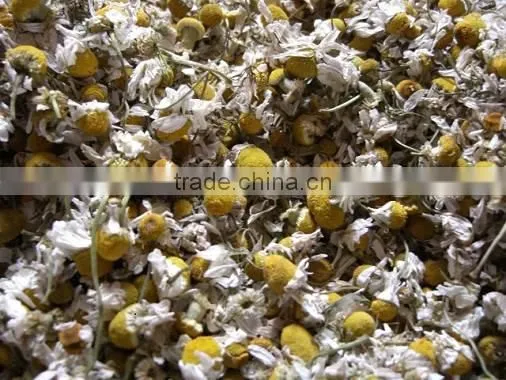 Dried Chamomile Flower Whole and TBC