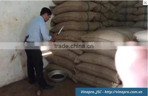 VIETNAM BLACK PEPPER CLEANED 570 G/L (+841657106604 - WHATSAPP) photo-6