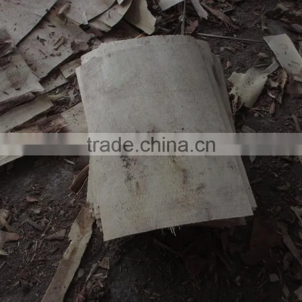 Low Moisture of 12 % Acacia Core Veneer photo-2