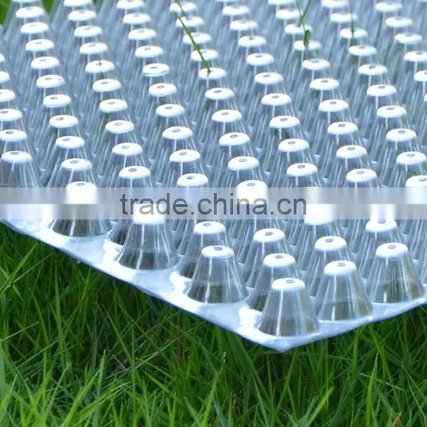 353 Cell Clear Plastic Seed Tray for Rice Seedling, Hydroponic Tray, 75g photo-5