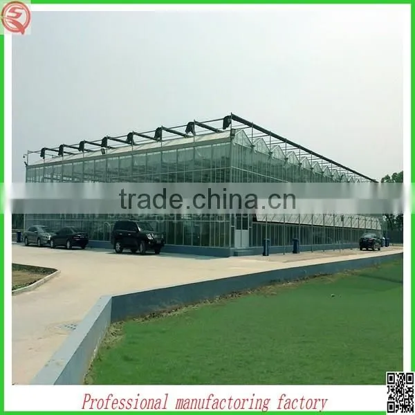 Commercial/agricultural Large Span Glass Green House for Strawberry/tomatoes photo-3