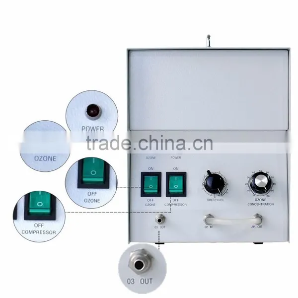 5g/h Air Purificatoire Kill Virus et Odeur 99 Ozone Air Purification Equipment photo-5