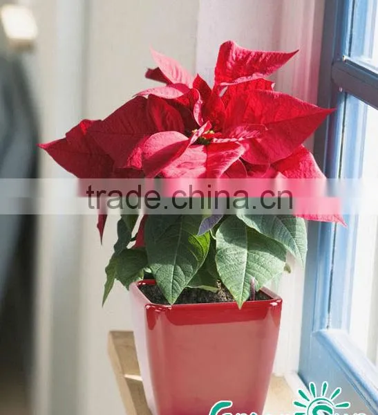 Two Parts Assembled Plastic Flowerpot photo-2