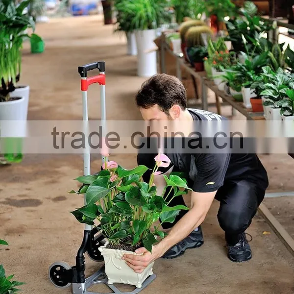 70kgs Red Wagon photo-5