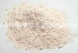 Psyllium Husk Powder photo-2