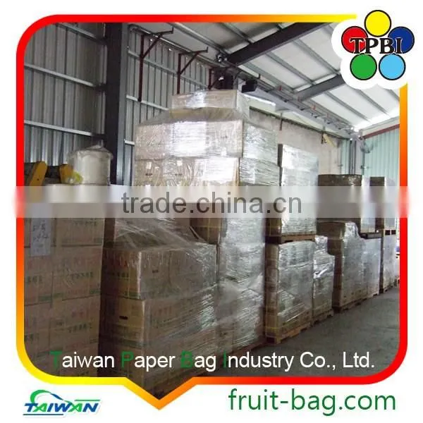 Mango Fruit Grow Bag Mango Fruit Grape Covering Paper Bag photo-4