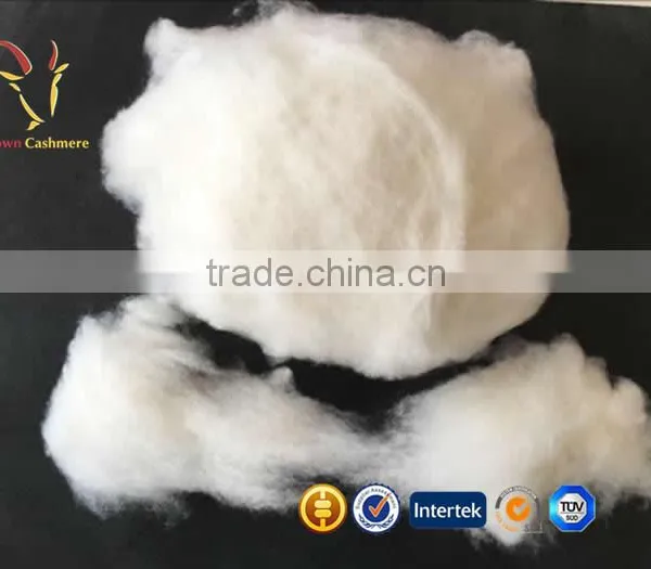 Factory Supply Raw Cashmere Fiber China for Sale photo-2