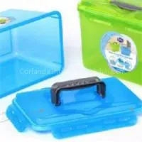 Plastic Transparent Storage Handle Box