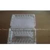 Plastic Absorption Fast Food Box