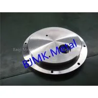 China Made Sebsea Titanium Ti- 6Al-4V Pressure Housing Cap