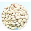 Blanched Peanuts