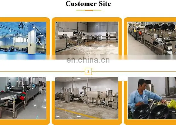 150 One Hour Electric Heating Small Scale French Fries Production Line French Fries Line photo-7