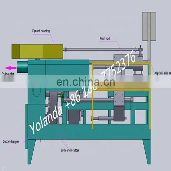 Automatic Pineapple Peeling Slicing Machine photo-4