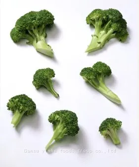 Manufacturer Best Selling Freeze Dried Broccoli photo-5