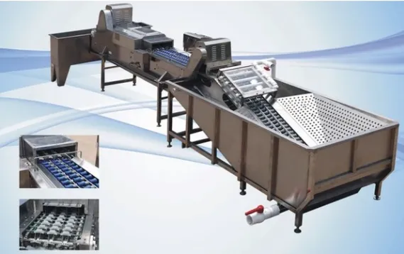 Egg Cleaning Sorting Packing Line photo-3