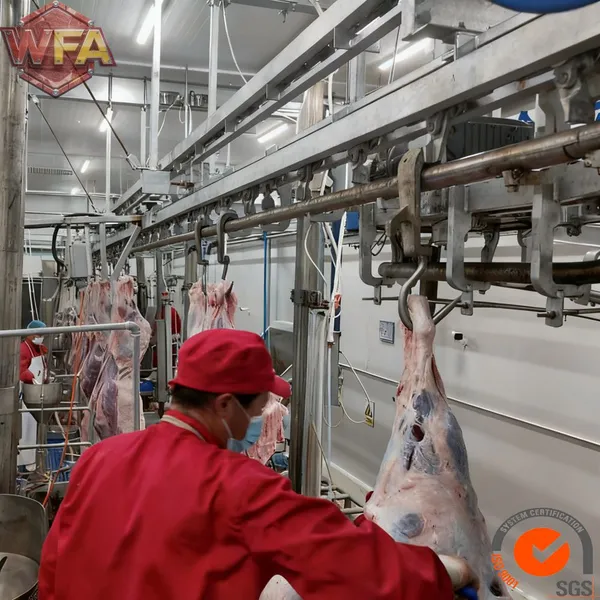 Hot Sale Cattle Abattoir Equipment for Beef Slaughter House Cattle Abattoir Equipment for Bull Slaughterhouse Plant photo-5