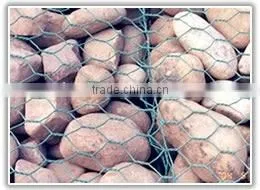 Gabion Mesh