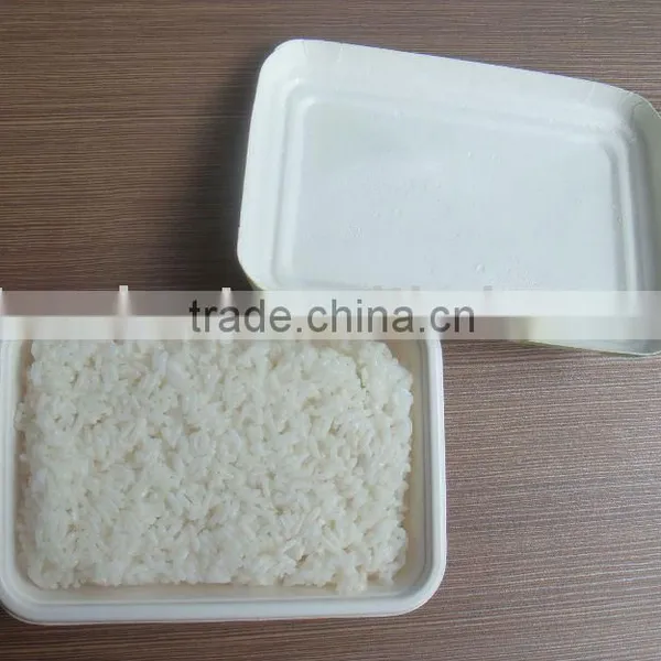 School Canteen Tray