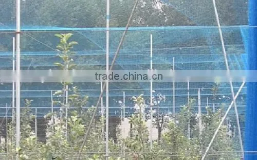 Garden Netting/Plastic Anti Bird Net photo-2