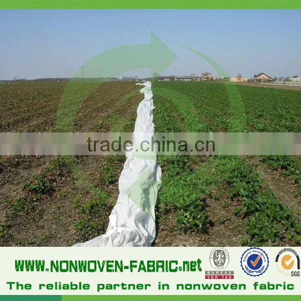 Biodegradable Agriculture PP Nonwoven Fabric photo-2