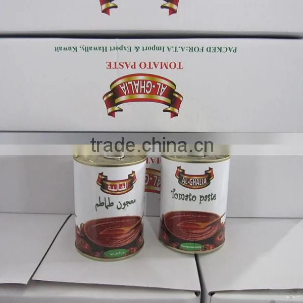 Factory Sell Brix 28/30 Tomato Paste With Paper Label, Printing Package photo-5