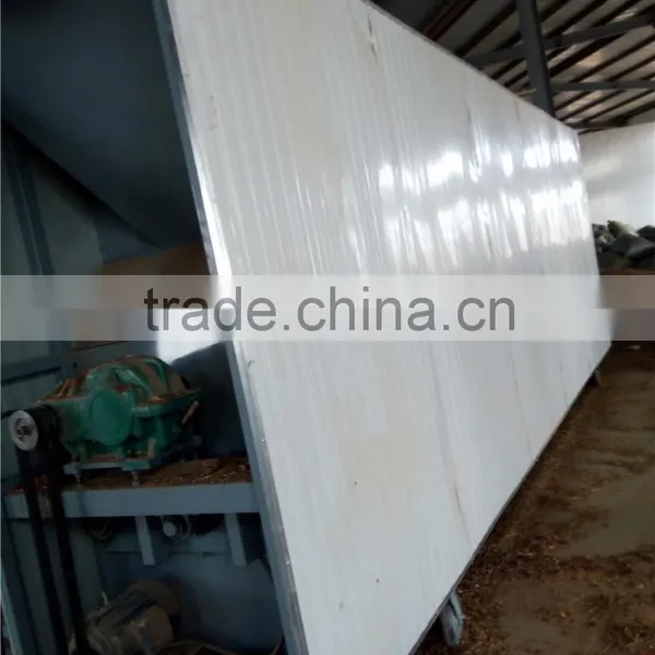 Chinese Best Quality Pepper Nail Clean Machine photo-4