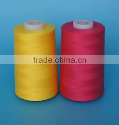 100 Percent Polyester Color Sewing Thread photo-5