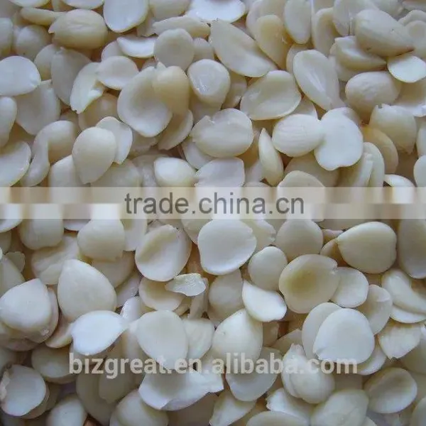 Chinese Blanched Apricot Kernels Flakes-Guangzhong Type for Sales photo-5