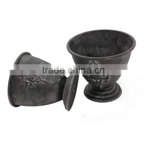 Hot Sale Indoor Plants Ficus Microcarpa Bonsai photo-3