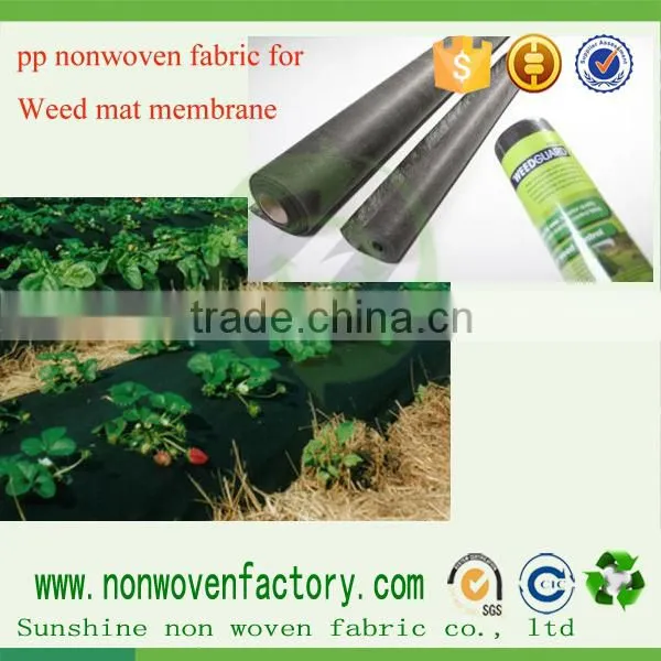 Landscape 85gsm Black Weed Suppressant Fabric, Weed Control Mat photo-6