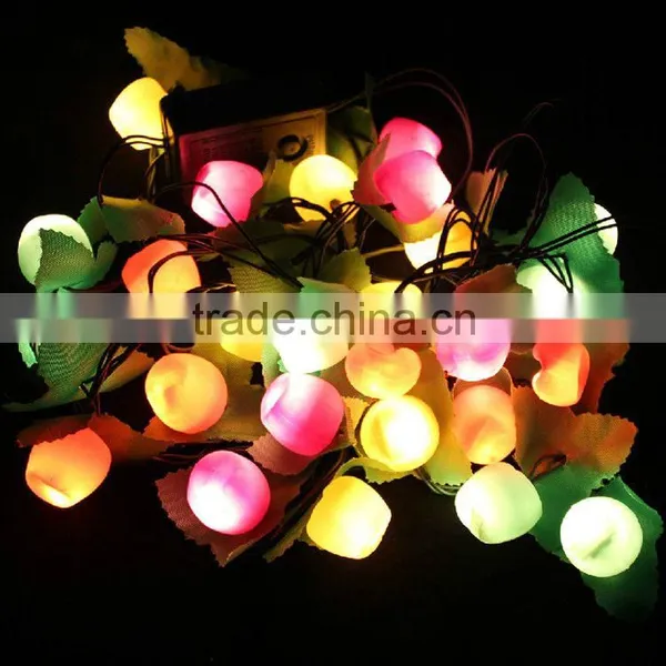 New Product Special Design Outdoor Christmas Led String Light From China