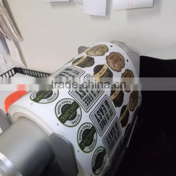 Automatic Roll to Roll Digital Label Printer photo-3