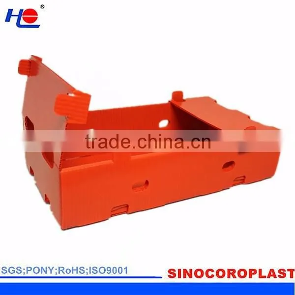 Plastic Corrugated Carton photo-3