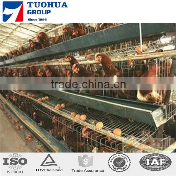 A Type Chicken Cage,layer Poultry Cages for Kenya Farms photo-2