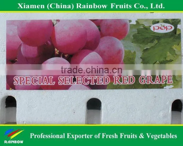 Top Quality Fresh Sweet Yunnan Red Grapes for Sell With POP SGV Brand photo-3