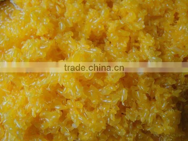 Mandarin Orange Sac photo-5